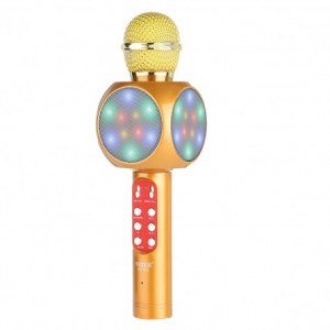 Lot de micro karaoké