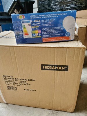 1 x palette de 288 lots de 10 ampoules LED Megaman / ASIN B08FHB8BKL