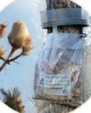 Piège à Processionnaires