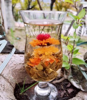 Producteur de fleurs de thé thé fleurit blooming tea