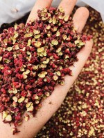 Grossiste poivre du Sichuan variétés rouge et verte