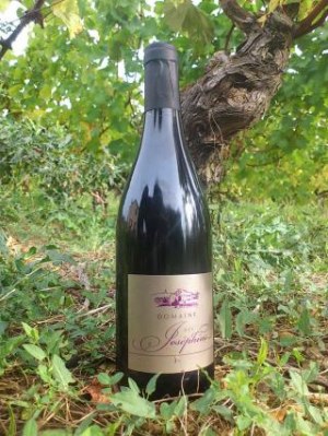 Beaujolais Nouveau 2016