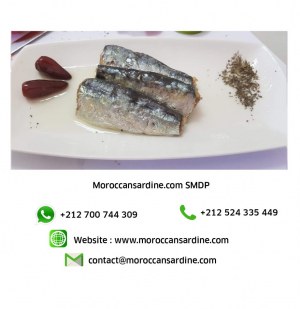 Authentic Moroccan sardines