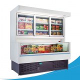 Vitrine Mixte Réfrigérée / Surgelée