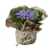 Carton de 6 - 2 Bouquets de 11 Roses