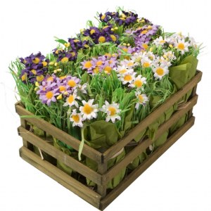 Carton de 4 - Cagette de 12 bouquets de pâquerettes