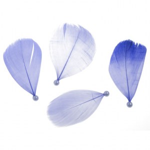 Carton de 48 - Plumes de Table avec perles