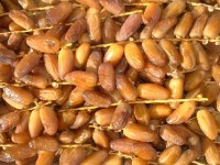 Dattes Tunisienne Extra