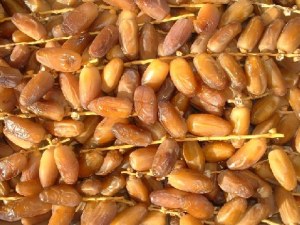 Dattes Tunisienne Extra