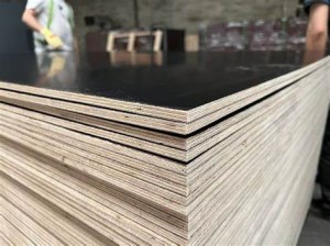 CONTREPLAQUÉ FILMÉ EUCALYPTUS/BOULEAU PREMIUM - TARIFS GROS 2026 - 15/18/22 mm - Meille...