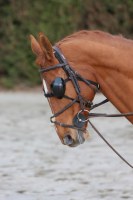 PROTECTIONS OCULAIRES CHEVAUX
