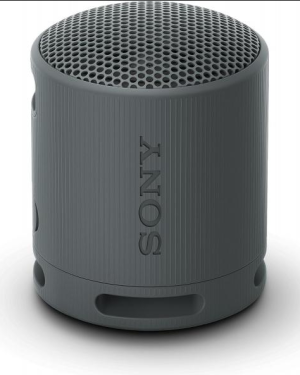 Sony Enceinte portable sans fil Noir BT SRSXB100B.CE7