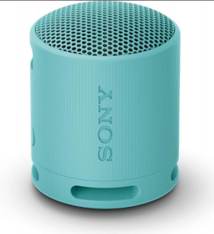 Sony Enceinte portable sans fil Bleu SRSXB100L.CE7