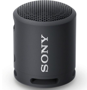 Sony Enceinte portable sans fil XB100 Noir (SRSXB13B.CE7)