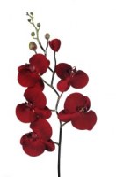 LOT DE TIGES D'ORCHIDEES ARTIFICIELLES