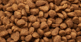 Croquettes pour chien sans céréales