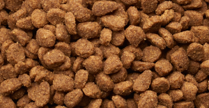 Croquettes pour chien sans céréales