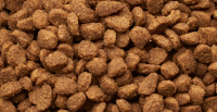 Croquette pour chien 24% de viande