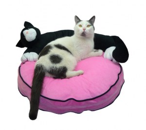 Lot de 10 paniers coussins pour chat ou chien