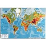 Carte du monde planisphÃ¨re