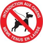 Panneau Interdit aux chiens mÃªme tenus en laisse