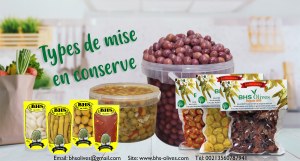 OLives Algerie BHS Olives Depuis 1959