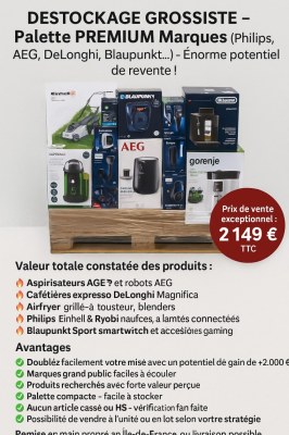 DESTOCKAGE GROSSISTE – Palette PREMIUM Marques (Philips, AEG, DeLonghi, Blaupunkt...)...