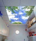 Vente activité de dalles LED ciel