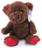 PELUCHE OURS BRUN 30CM