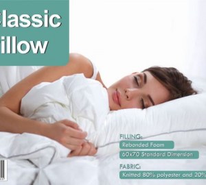 Oreillers en mousse a memoire