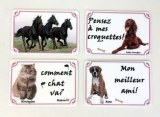 Magnets messages chiens et chats