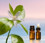 Huile essentielle de Petit Grain bigarade bio provenance Paraguay