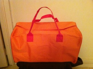 SACS DE VOYAGES PLAGE NEUFS