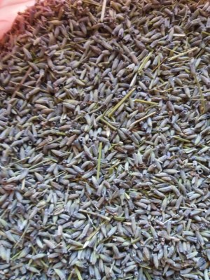 PLANTES MEDICINALES ET AROMATIQUES