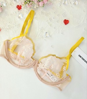 070093 Mix de lingerie féminine Darjeeling