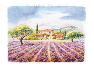 Lot de posters, aquarelles, affiches 3 000 €