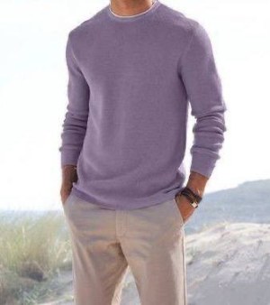 4,50 € Pulls pour hommes Mix Saisons issus de catalogues allemands, tailles 38–54, à pa...