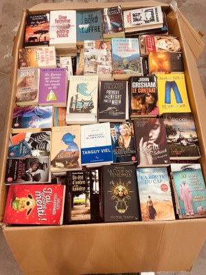 Palette 1000 livres très bon état