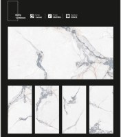 Carrelage 60X120 1er choix