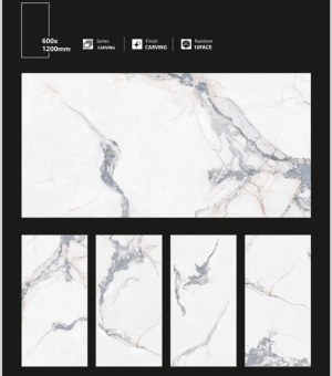 Carrelage 60X120 1er choix