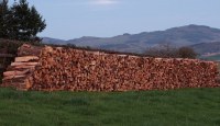 Offre de Bois de chauffage bien dur