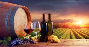 DESTOCKAGE DE VINS FRANCAIS DE QUALITE