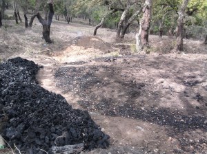 Vente de charbon de bois de bonne qualité