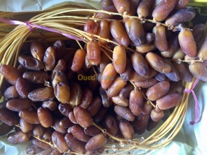 Vente & Exportation de Dattes récolte 2020