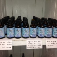 Lot d'huiles essentielles et produits naturels