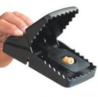 Piège à rat efficace.