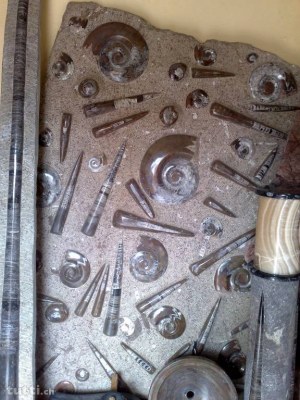 Articles de décoration en sélénite,marbre fossilisé et minéraux