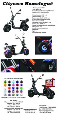 CITYCOCO harley scooter EEC COC homologué