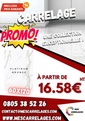 Carrelage 60x60 et 60x120 - Mat et Brillant - Platinum Bronze