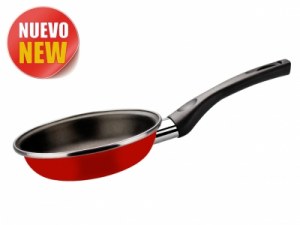 Poele tous feux, inclus induction